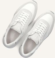 Witte DUTCH'D Lage sneakers ECLIPSE Witte DUTCH'D Lage sneakers ECLIPSE - medium