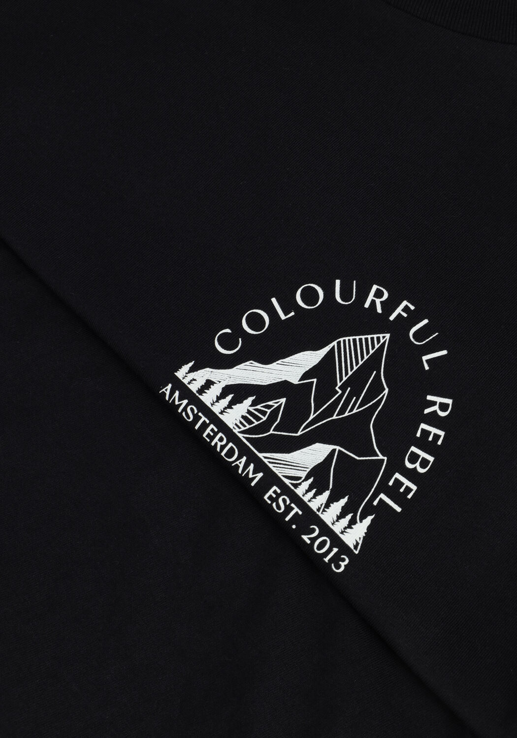 Zwarte COLOURFUL REBEL T-shirt MOUNTAIN BASIC TEE - large