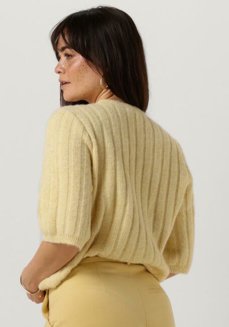 Gele GESTUZ Trui ALPHA TEE - large