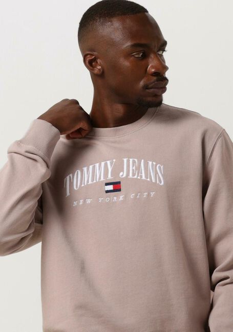 TOMMY JEANS Chandail TJM REG SMALL VARSITY CREW en beige - large