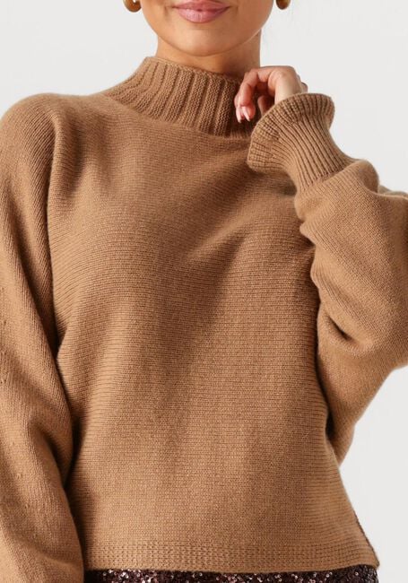 Camel TWINSET MILANO Trui 252TT3353 - large