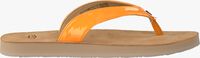 orange UGG shoe TAWNEY  - medium