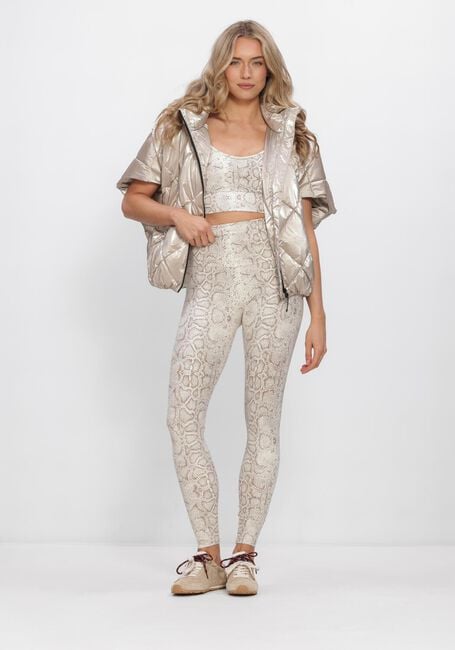 Bruine DEBLON SPORTS Legging CLASSIC LEGGINGS HIGH WAISTBAND 2 - large