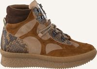 Cognac TORAL Hoge sneakers 12199 - medium