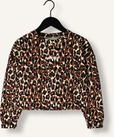 Bruine RAIZZED Sweater HANNA Bruine RAIZZED Sweater HANNA - medium