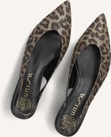 Bruine UNISA  JENSEN Bruine UNISA  JENSEN - medium