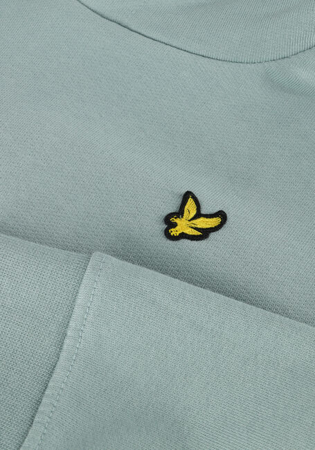 Lichtblauwe LYLE & SCOTT Sweater PULLOVER HOODIE BOYS Lichtblauwe LYLE & SCOTT Sweater PULLOVER HOODIE BOYS - large