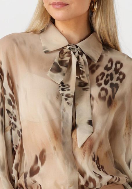 ACCESS 53-7014-019 Blouses en beige - large