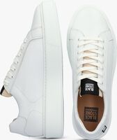 Witte BLACKSTONE Lage sneakers STANLEY - medium