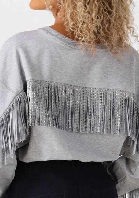 CO'COUTURE Pull STUDCC FRINGE SWEAT Gris clair - large