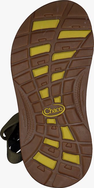CHACO AMP KIDS - large