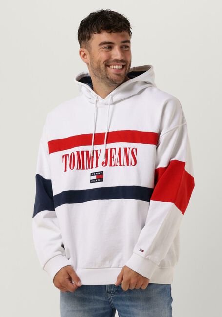 TOMMY JEANS Chandail TJM SKATER ARCHIVE BLOCK HOODIE en multicolore - large