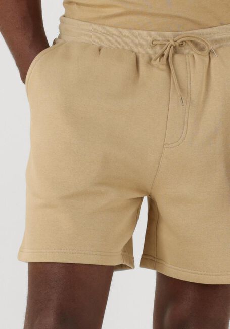 Zand TOMMY JEANS Korte broek TJM S FLAG BEACH SHORT EXT - large