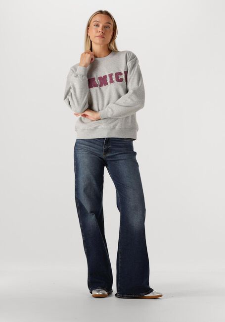 Grijze JANICE Sweater ANDY - large