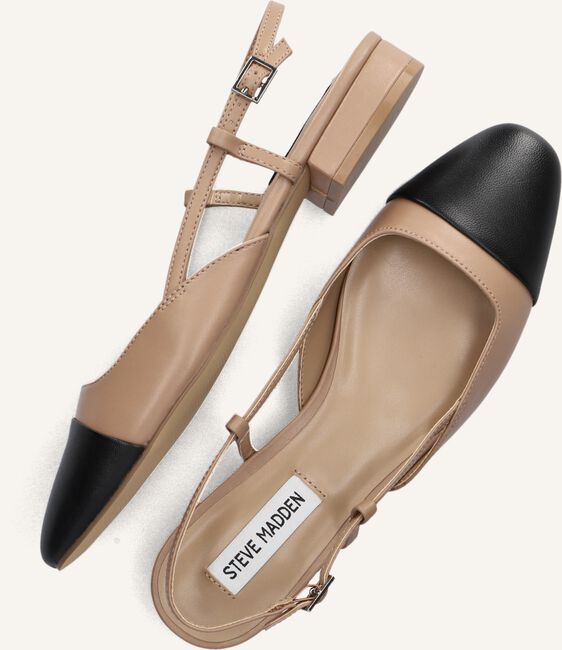 Bruine STEVE MADDEN  BELINDA Bruine STEVE MADDEN  BELINDA - large