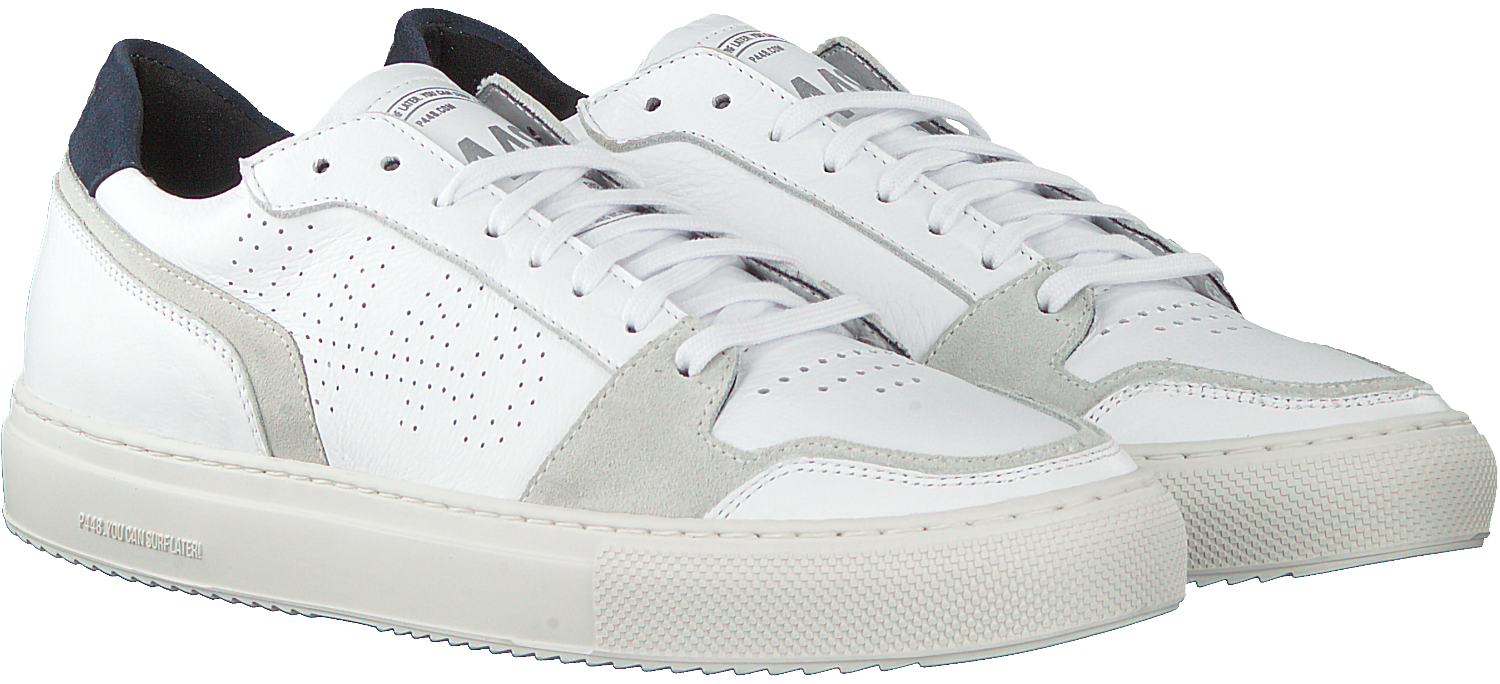 basket p448
