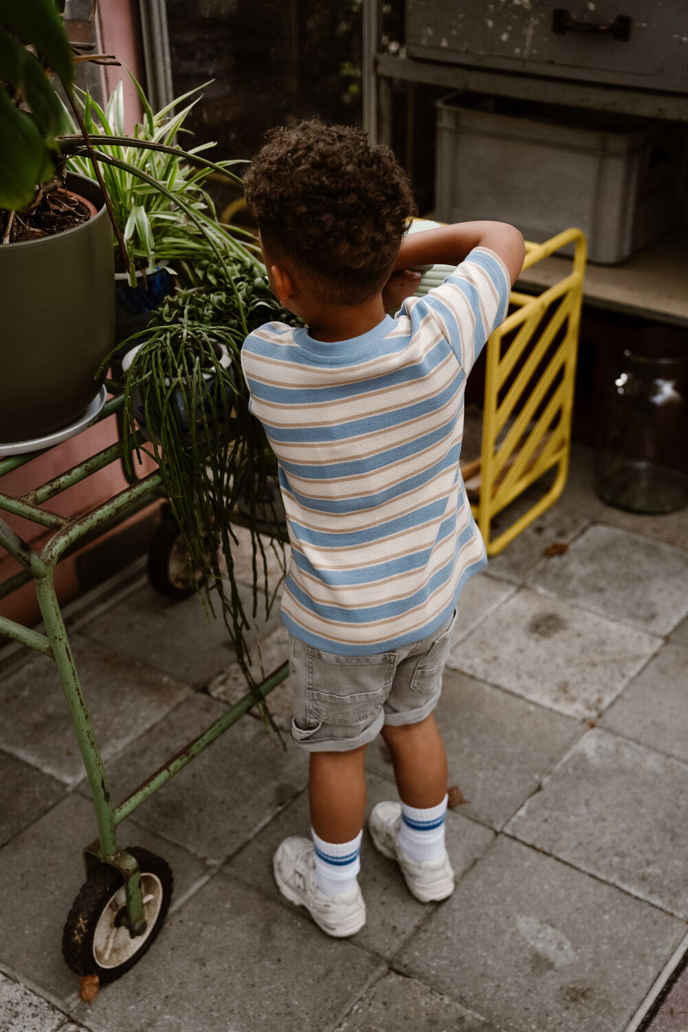 DAILY7 Pantalon courts DENIM SHORT Gris clair - large