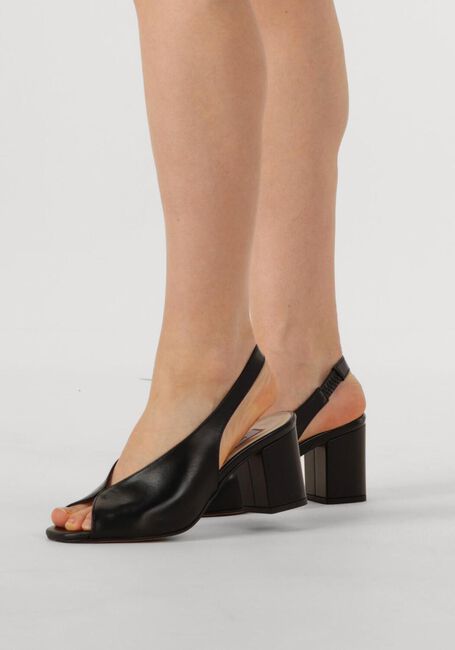 NOTRE-V 16068 NOTRE-V 16068 - large