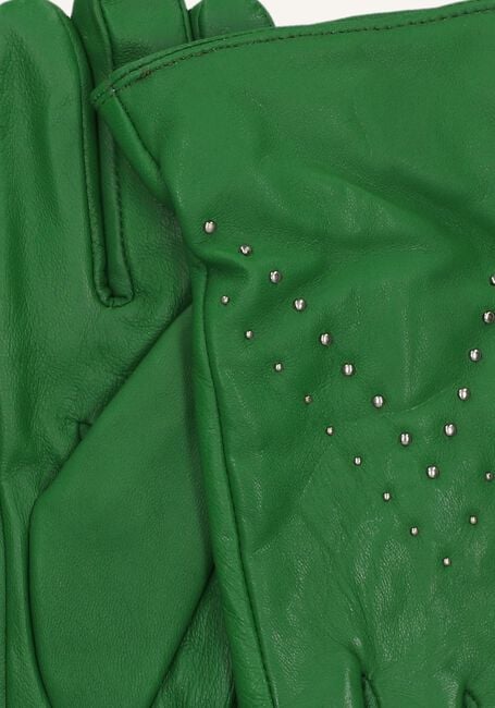 Groene NOTRE-V Handschoenen ZAWBO-326 Groene NOTRE-V Handschoenen ZAWBO-326 - large