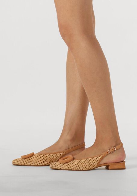 Camel LODI  BRO5260 - large