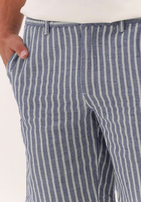 ANERKJENDT Pantalon courte AKLT JOHN STRIPE SHORTS en bleu - large