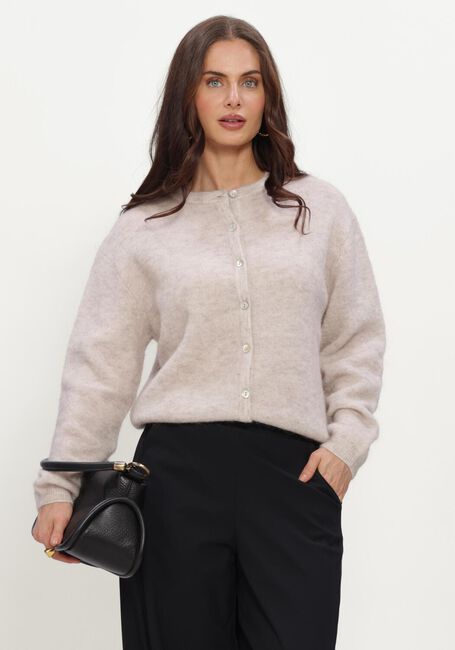 Beige STUDIO ANNELOES Trui BIBI CARDIGAN - large