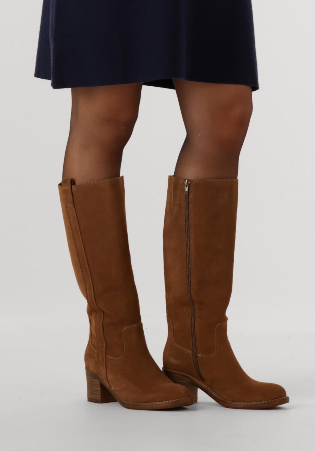 Bruine BLASZ  SHN2581-07 - large