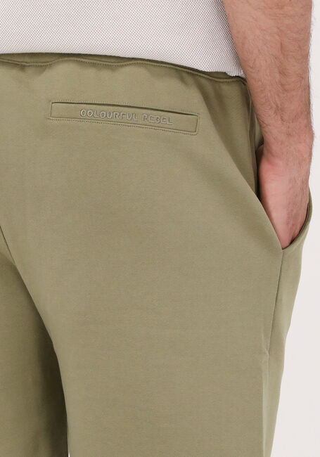 COLOURFUL REBEL Pantalon courte UNI PATCH SWEAT SHORT en vert - large