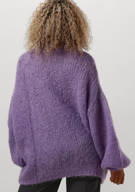 Lila AMERICAN DREAMS Coltrui PEPPER ROLL NECK ALPACA PULLOVER - large