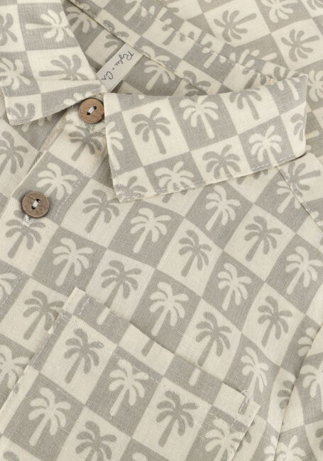 RYLEE + CRU Chemise décontracté COLLARED SHORT SLEEVE SHIRT PALM CHECK en taupe - large