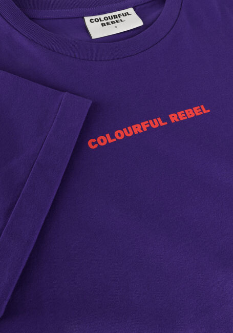 COLOURFUL REBEL T-shirt UNI LOGO BOXY TEE en violet - large