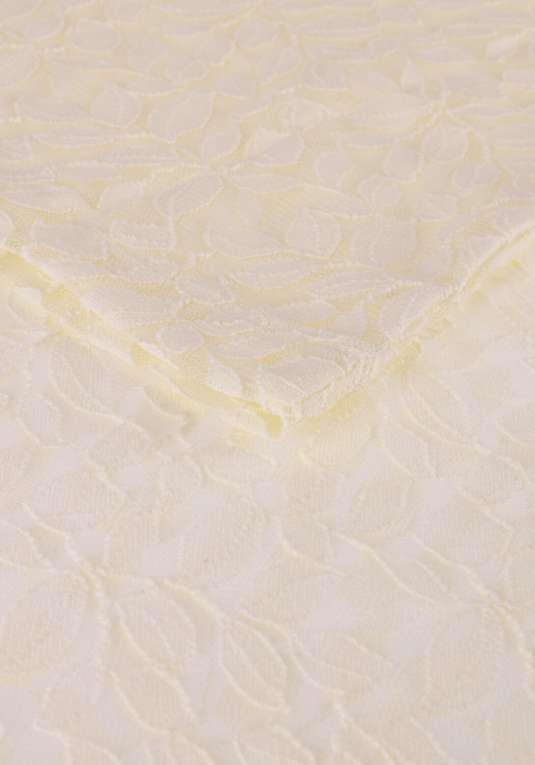 ALIX THE LABEL FITTED LACE TOP Hauts & T-shirts Cr&egrave;me - large