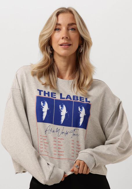 ALIX THE LABEL LADIES KNITTED CROPPED WORLD TOUR SWEATER Pulls & Gilets en gris - large