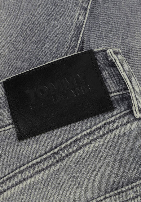 Grijze TOMMY JEANS Slim fit jeans AUSTIN SLIM TPRD DG1272 - large