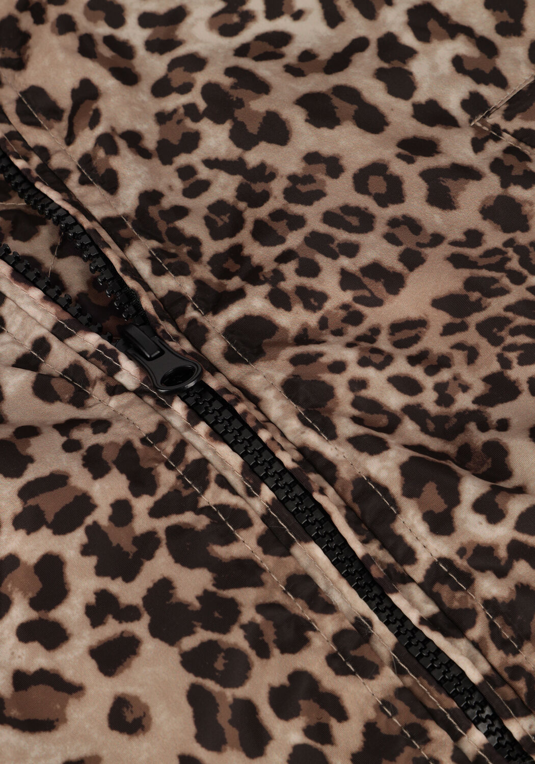 Bruine CARS JEANS Jack YELSA - large