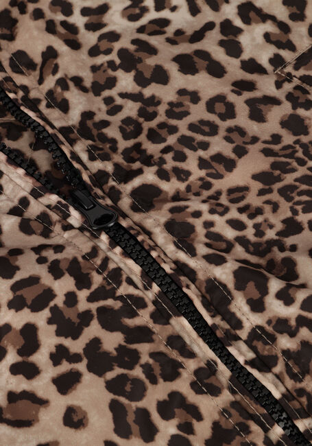 CARS JEANS Jack YELSA en marron - large