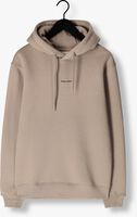 PURE PATH Pull PURE LOGO HOODIE en taupe