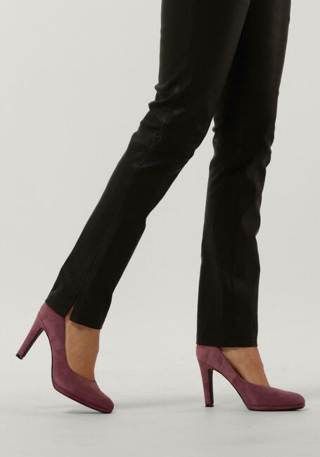 Roze PETER KAISER  HERDI - large