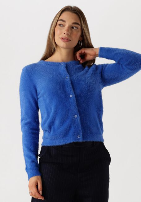 Blauwe FABIENNE CHAPOT Vest KATE CARDIGAN - large