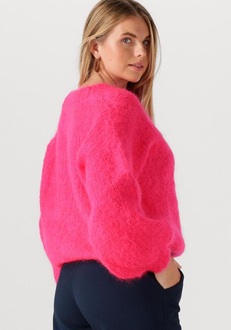 Fuchsia TWNS Trui ENGELWOOD - large