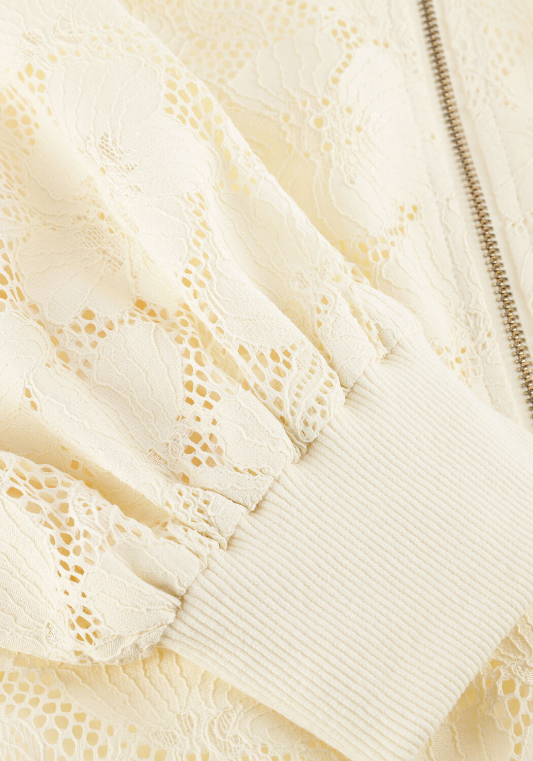 AMAYA AMSTERDAM Jack MEADOW Cr&egrave;me - large