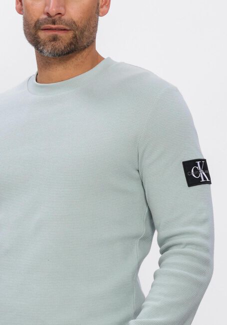 Mint CALVIN KLEIN Polo BADGE WAFFLE LS TEE - large