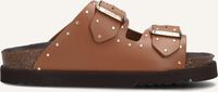 SCHOLL BEATRIZ Tongs en cognac SCHOLL BEATRIZ Tongs en cognac - medium