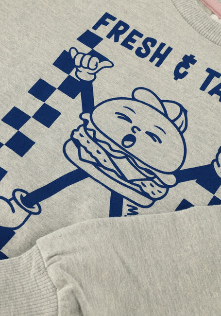 Lichtgrijze THE NEW Truien/vesten TNSTSAMY - large