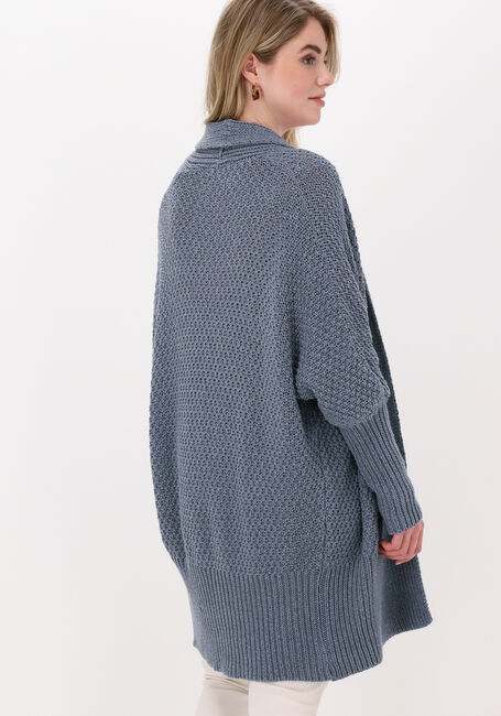 Blauwe SIMPLE Vest KNITTED CARDIGAN ICE STRUC - large