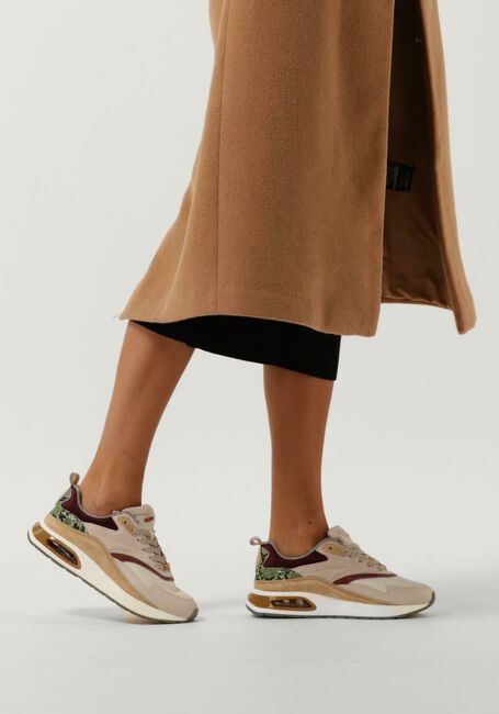 Taupe THE HOFF BRAND Sneakers NOTRE DAME - large