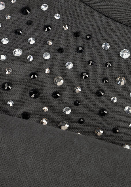 Grijze AI&KO Sweater CAROLLA STRASS CO 337 G Grijze AI&KO Sweater CAROLLA STRASS CO 337 G - large