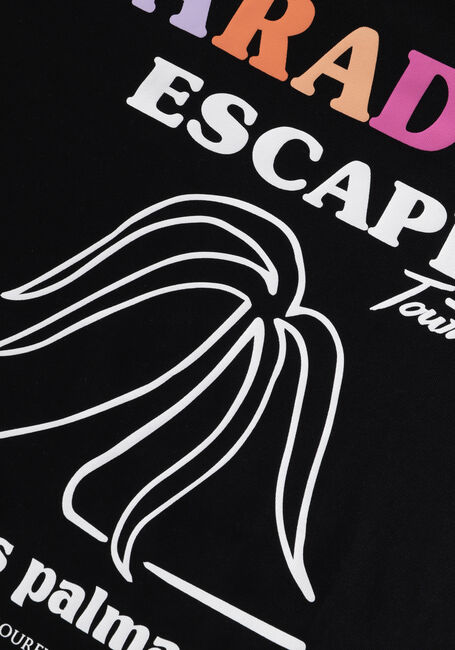 COLOURFUL REBEL T-shirt PARADISE ESCAPE BOXY TEE en noir - large