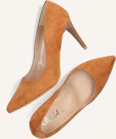 Camel GIULIA  G.8.GIULIA Camel GIULIA  G.8.GIULIA - medium