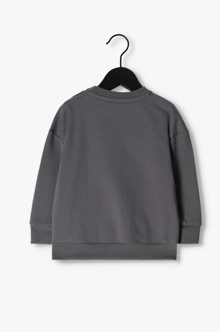 Grijze Z8 Sweater TAIO - large